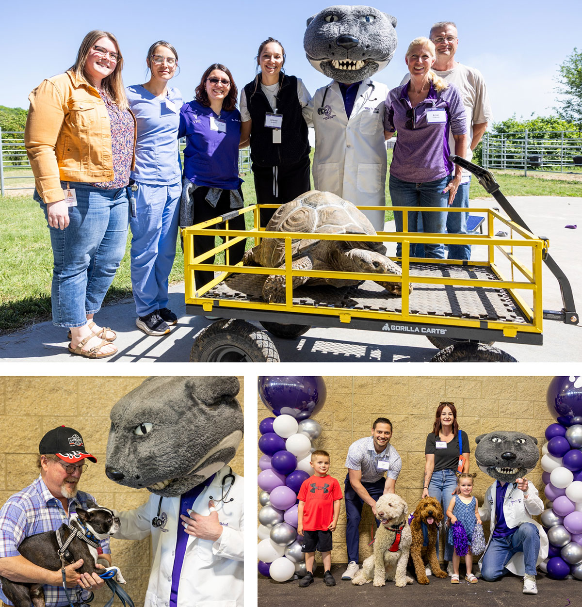 Photo collage from the VHC patient reunion