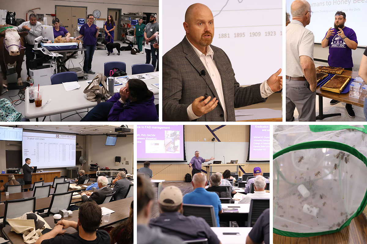 CE Sessions in a collage