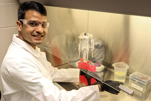 Prabhu Joshi works in the laboratory