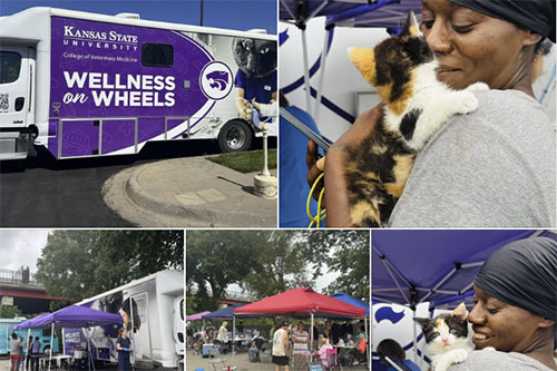 Collage of a community outreach event in Topeka