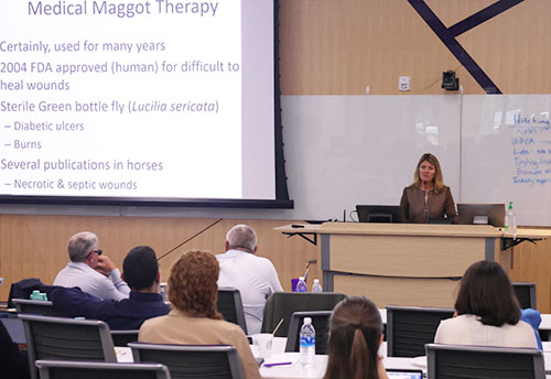 Dr. Laurie Beard gives a presentation on Strangles at a workshop featuring two dozen global scientists
