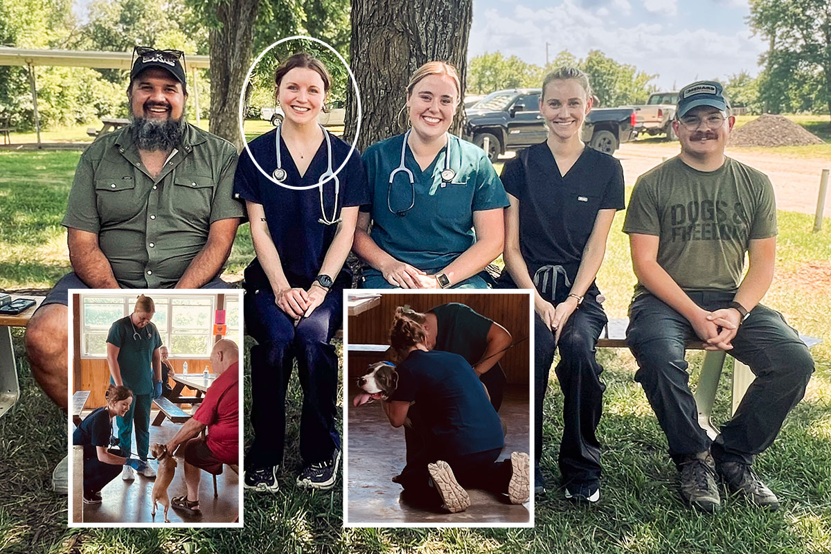 Meagan Eickelbeck works with K-State's shelter medicine/community outreach team in this photo collage 