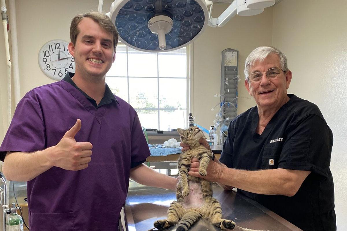 Dr. Wally Kraft examines a cat with his son Trey