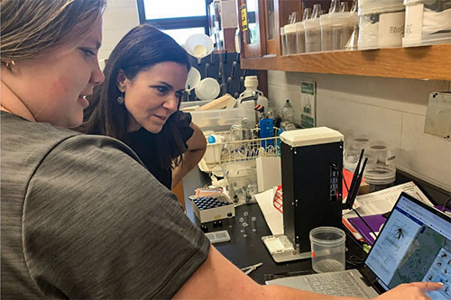Dr. Natalia Cernicchiaro oversees a research project in the lab