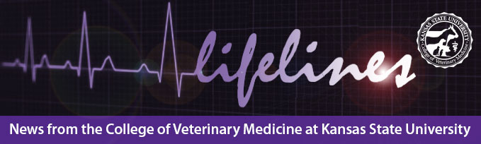 CVM Senior Papers (PDF) - College of Veterinary Medicine