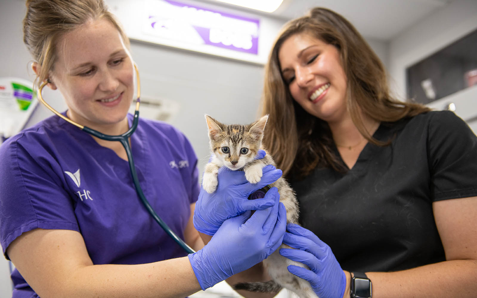 Shelter Medicine students in Beatrice