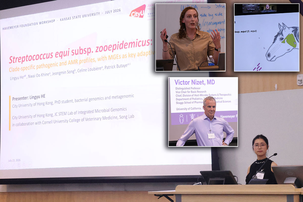 Collage of speakers at the Strangles Workshop