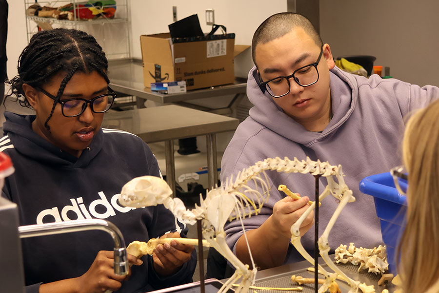 Two students study together in a lab