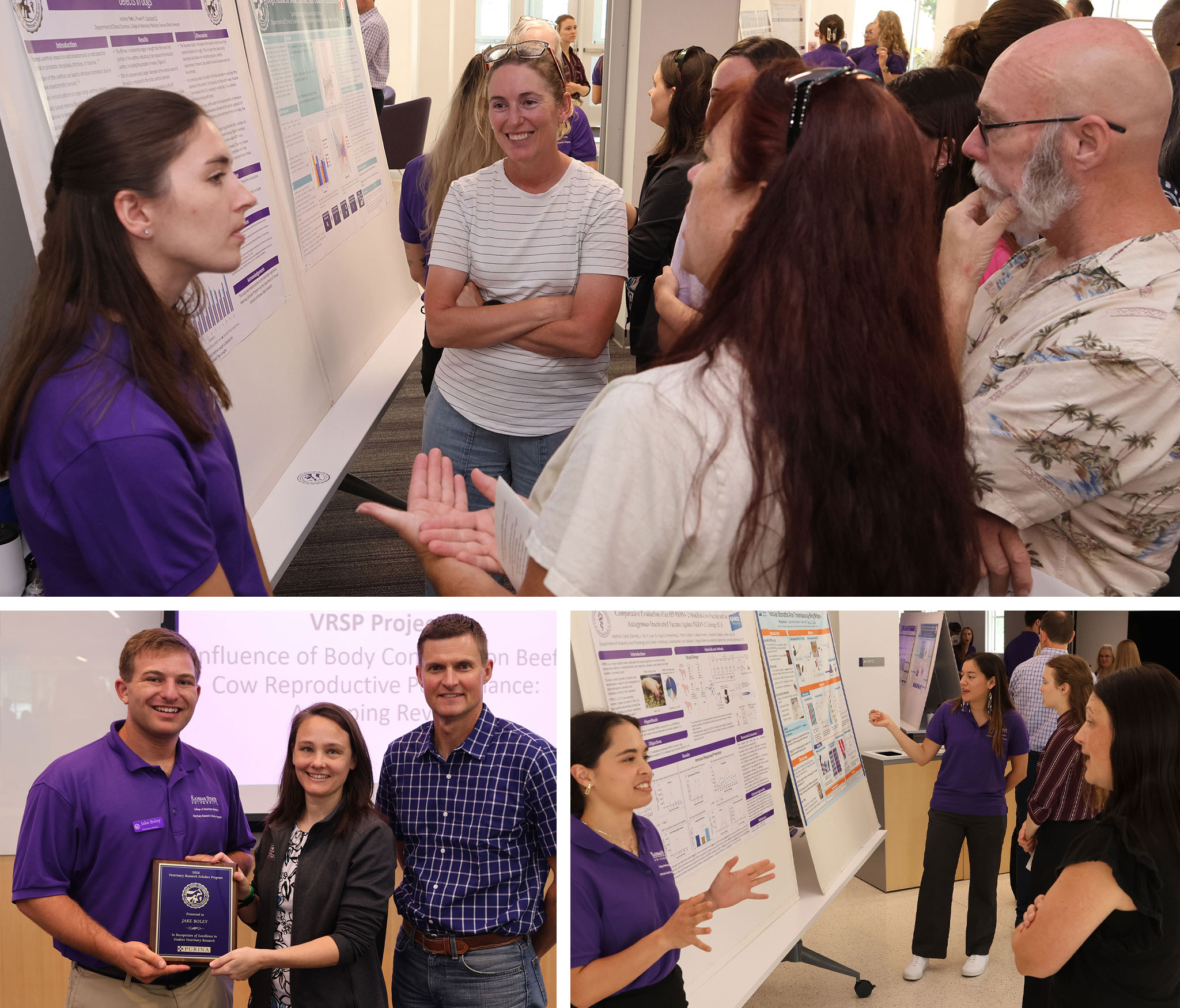 Collage of photos from the VRSP poster session