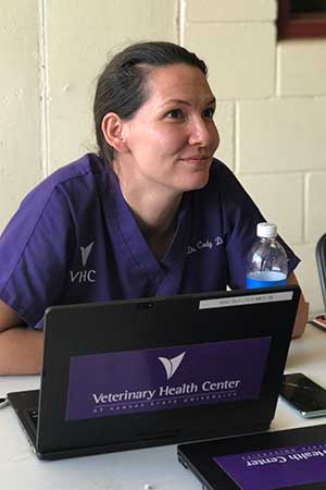 Dr. Dresslet sits at her laptop 