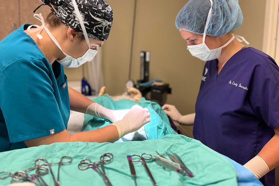 Dr. Dressler supervises a fourth-year student during a surgery