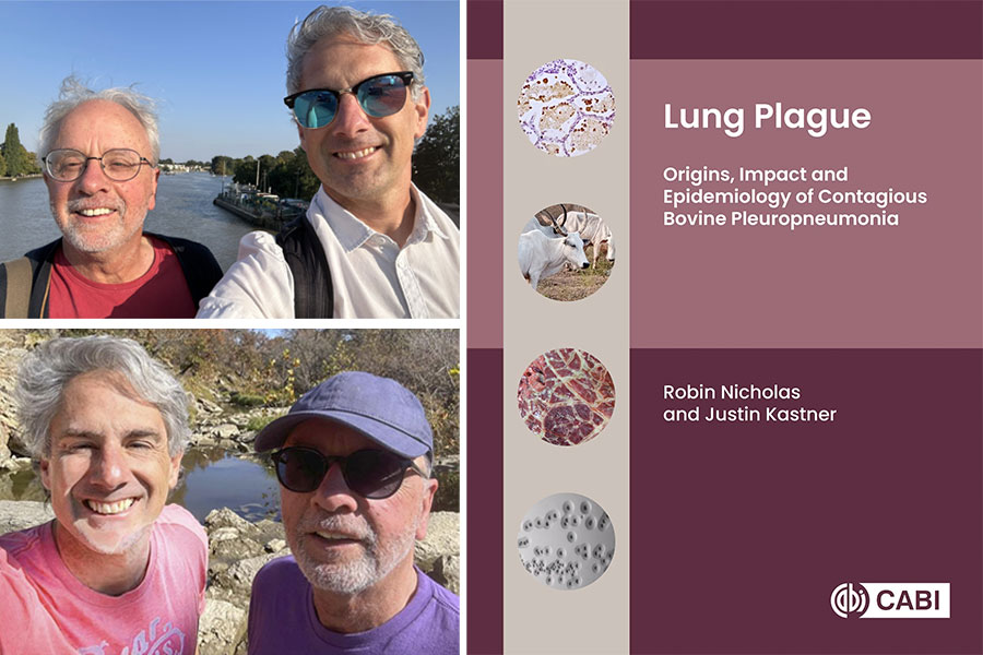 Dr. Justin Kastner works with an international colleague