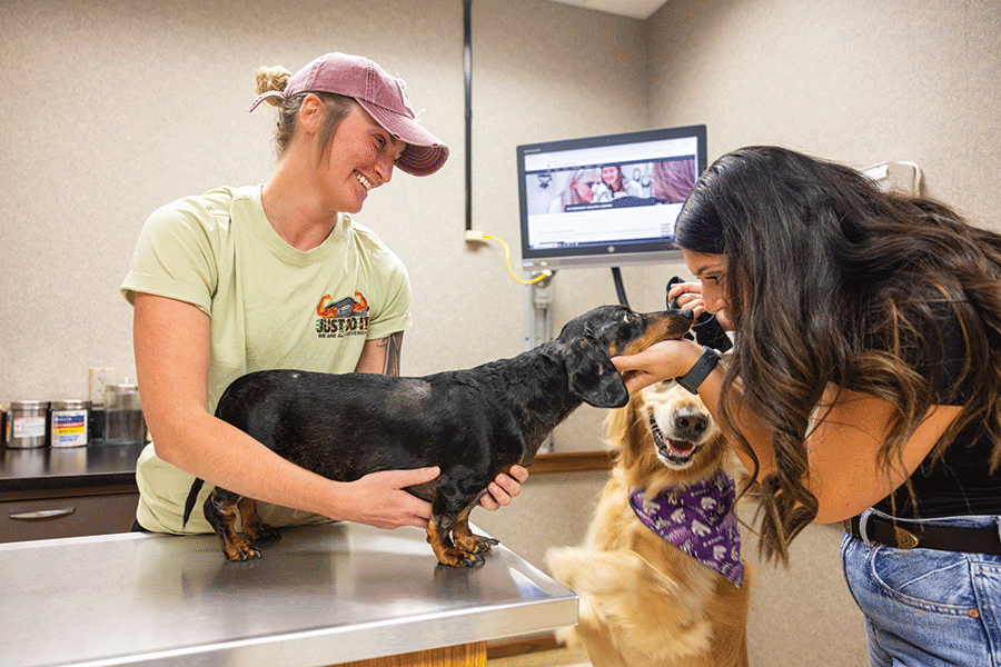 At a veterinary clinic, two women are affectionately petting a dog, highlighting compassion and care for animals.