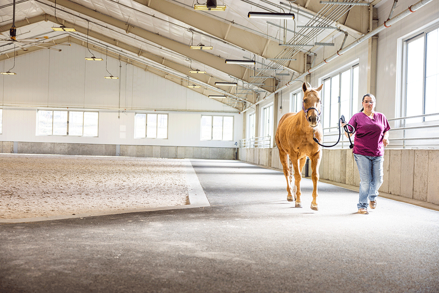 A woman guides a horse in an indoor arena, highlighting the training and interaction between rider and animal.