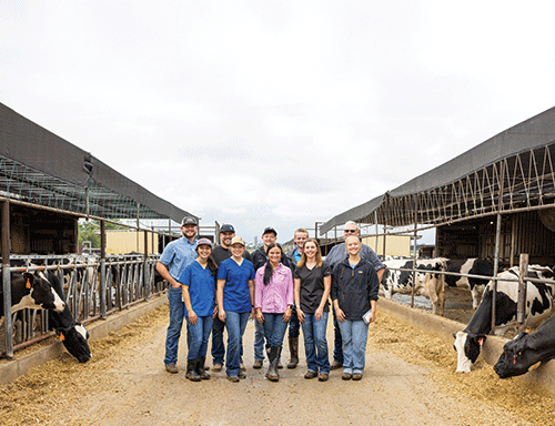  Automatically generate alt text for images in over 130 languages. Start Free Trial Click to select or drop a new image  Use setting  Optional  A group of people stands in a row between two rows of cows in a farm setting.