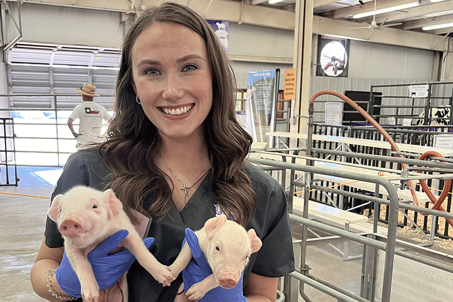 A woman in a black shirt and blue gloves gently holds two baby pigs in her arms, smiling at the camera.