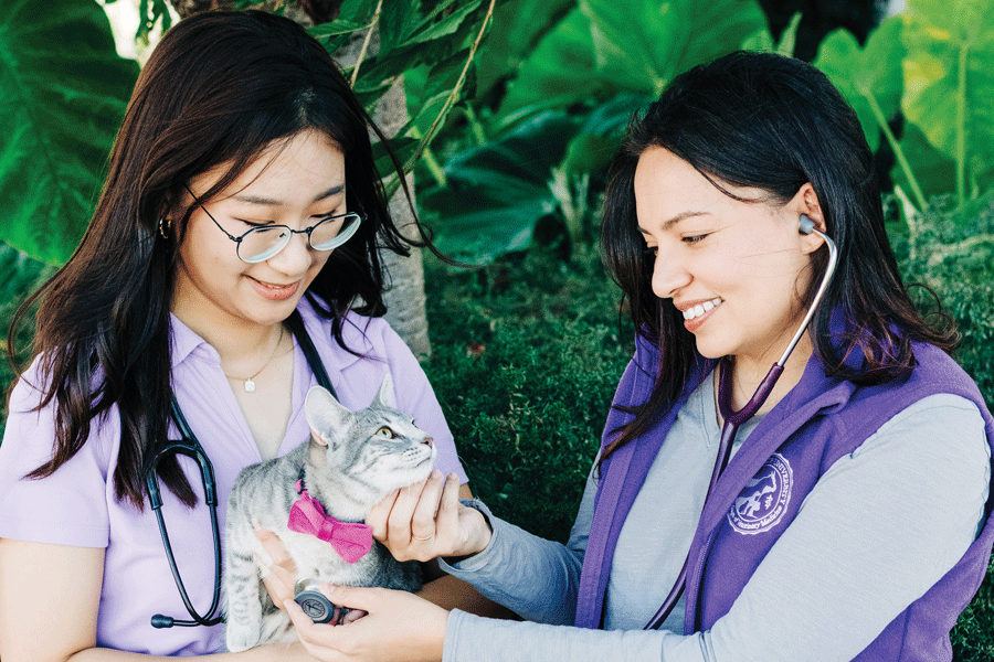 Two women wearing purple shirts gently hold a cat, both smiling at the camera.