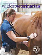 Wildcat Veterinarian - Winter 2020