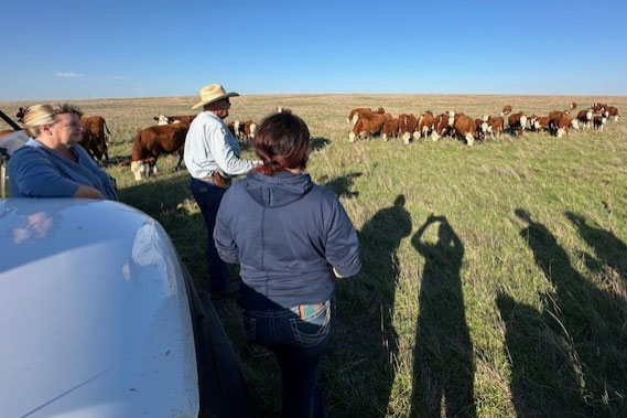 Students in cattle pasture