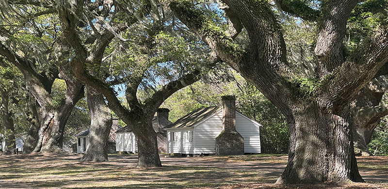 slave housing