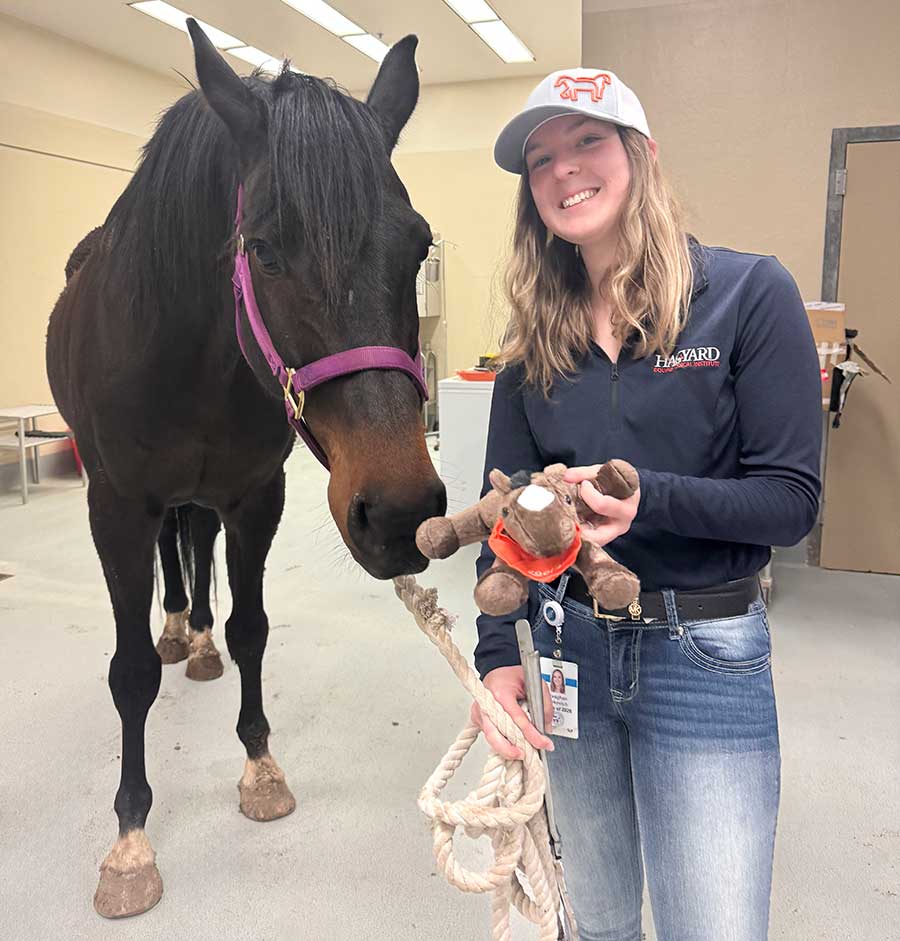 Veterinary student works with training horse