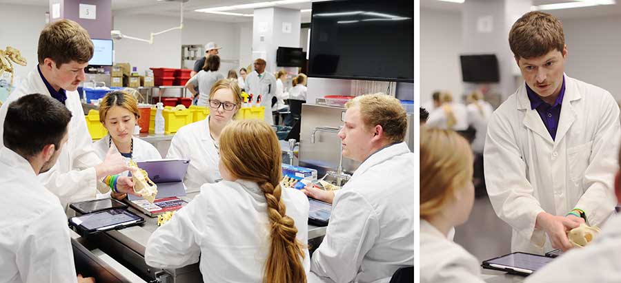 Dr. Konnor Stueve shows students how to understand specimen
