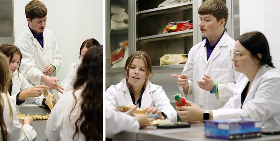 Dr. Konnor Stueve shows students how to study teeth