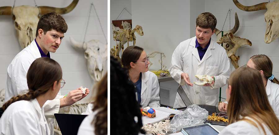 Dr. Konnor Stueve shows a cattle skull