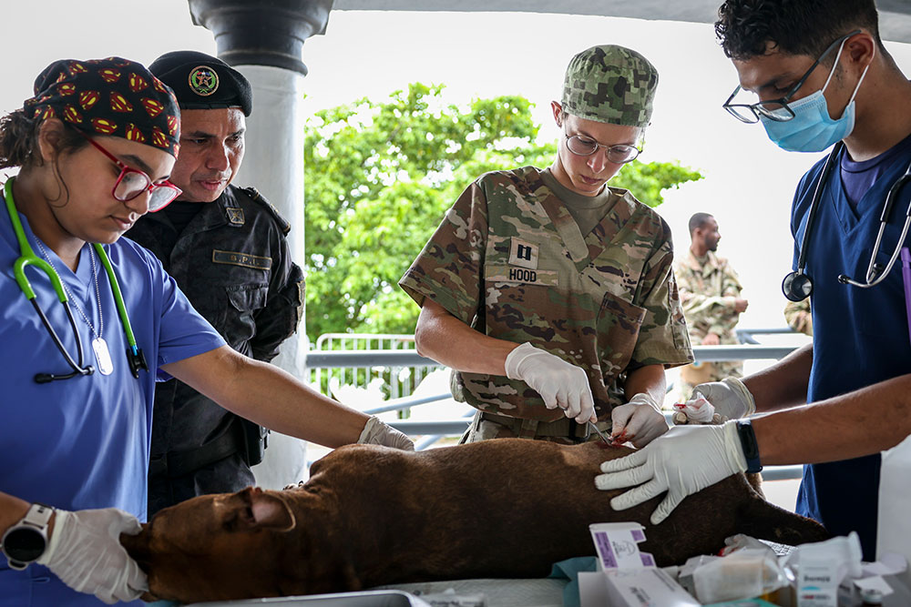 Capt. Hood performs surgery on a dog.