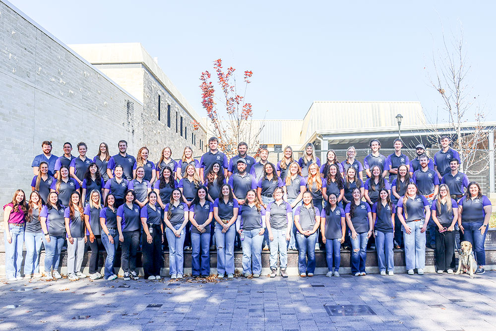 The group of CVM Ambassadors