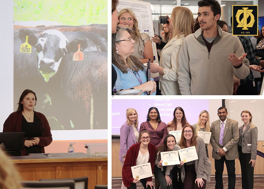 Activities at 2024 Phi Zeta Research Day