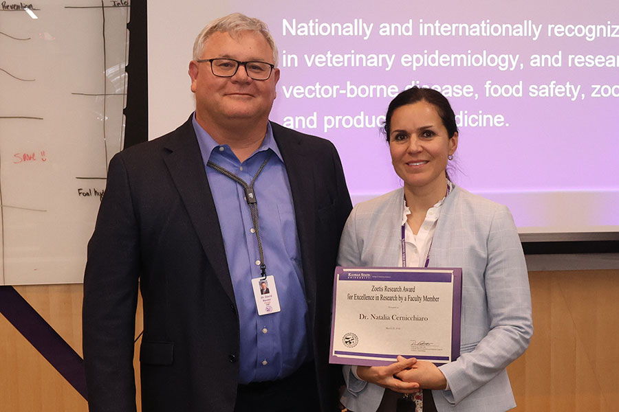 Associate dean presents award to faculty member