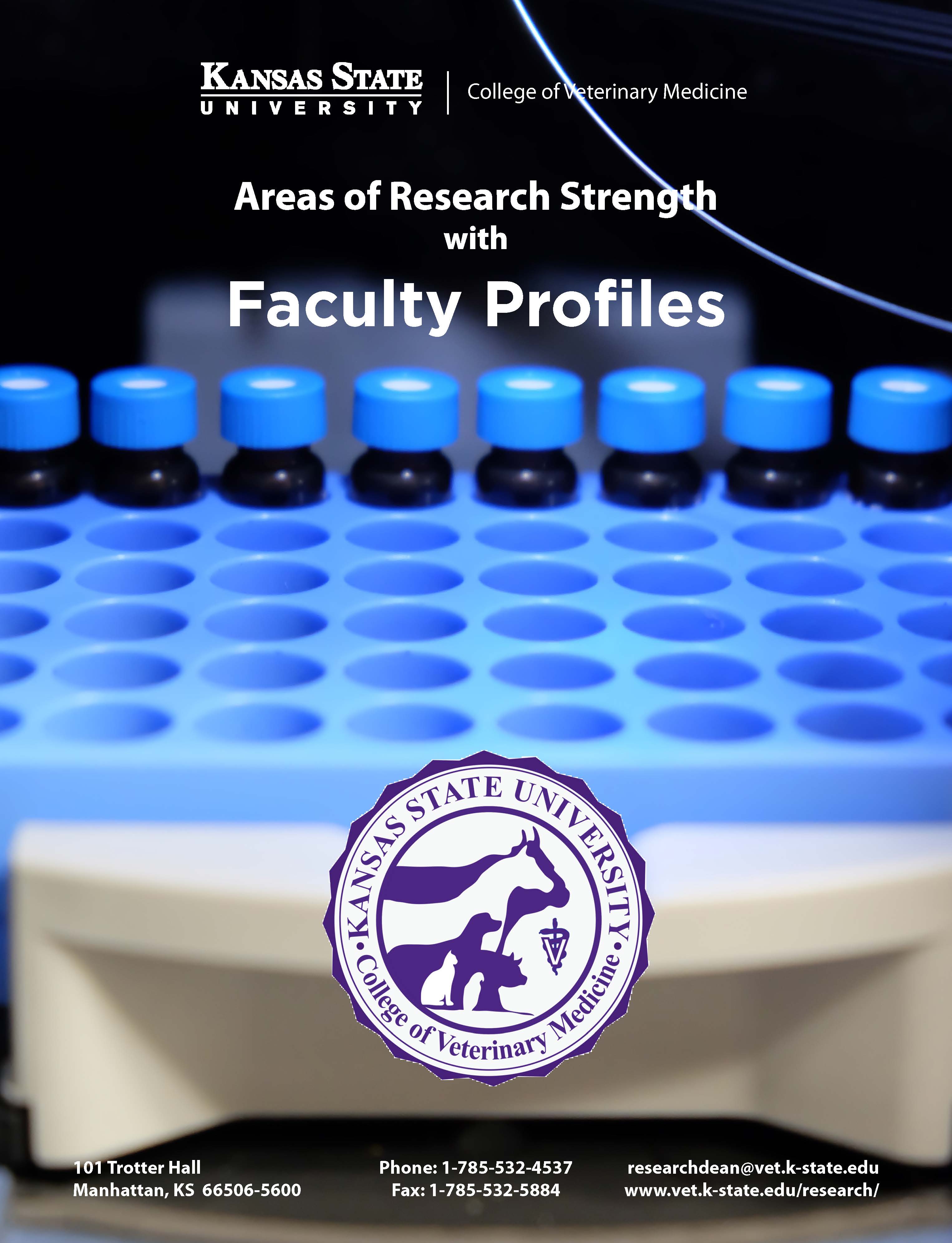 Areas of Research Strength with Faculty Profiles