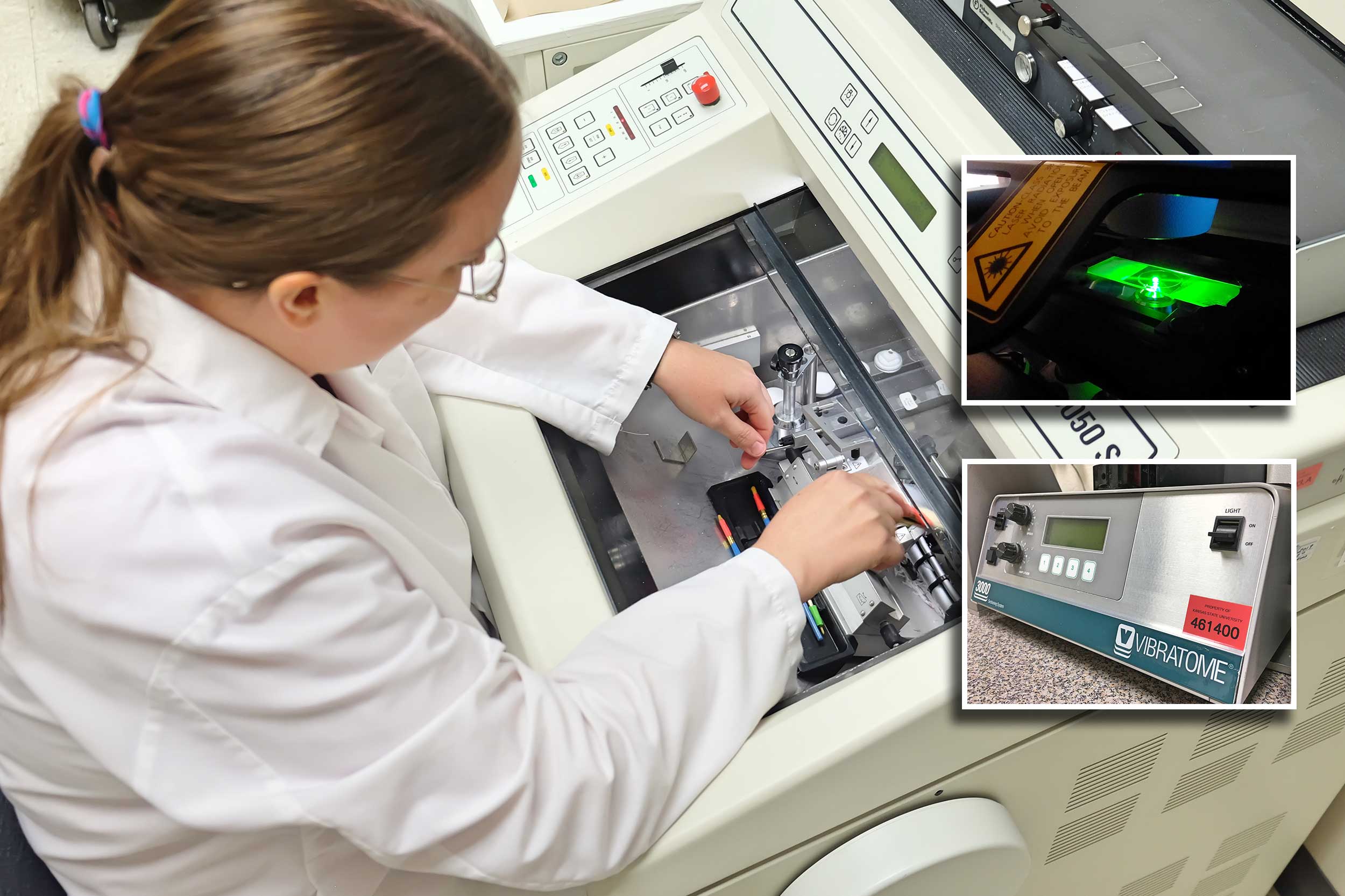 Flow Cytometry Lab