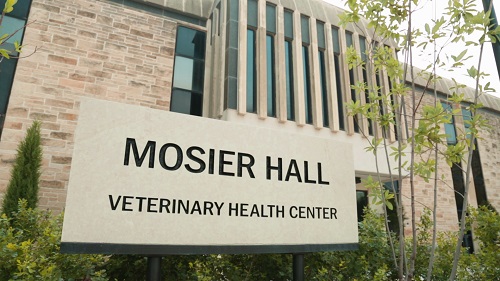 Mosier Hall