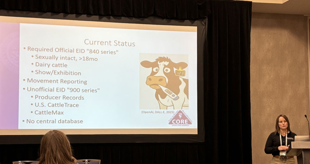 MaRyka at podium speaking to audience with slide projected on wall next to her.