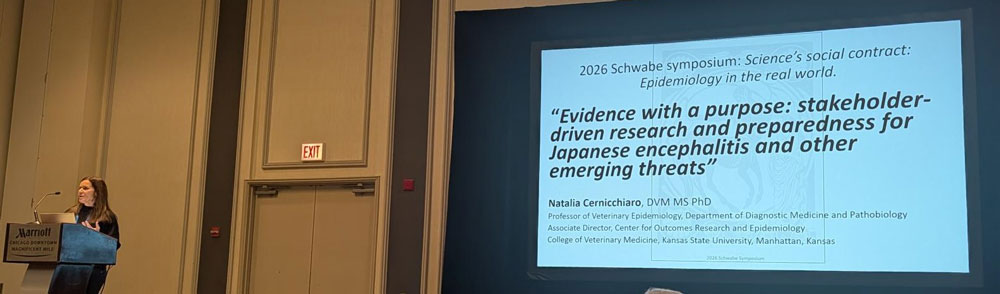 Natalia Cernicchiaro at a podium with a powerpoint slide on the screen behind her.